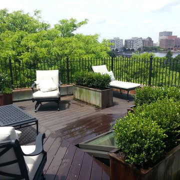 Wisteria & Rose roof deck designs. Visit www.wisteriaandrose.com for more info!