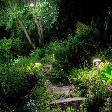 Bel-Air Modern, all exterior (landscape and architecural lighting)