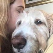 Alisse Lee-Goldenberg's photo