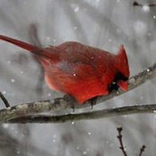 Marcy Kowalchuk's photo