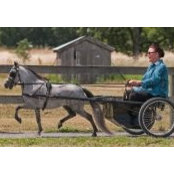 Sharon Housley's photo