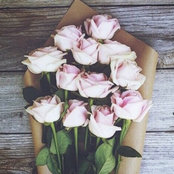 Ana Baltag's photo