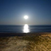 Helena Malatino Williams's photo
