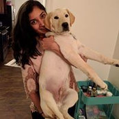 Amrita Rao's photo
