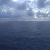 Foto von Cheryl Glenn