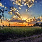 Michelle Langmaid's photo