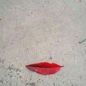 Silvia Serusi's photo