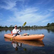 Patricia Ebersole's photo