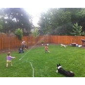 Matthew Wagner's photo