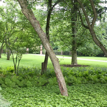 The Secret Garden