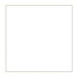 ALPINE WHITE 5910 - Products