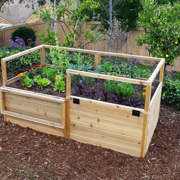 6ft x 3ft Garden in a Box
