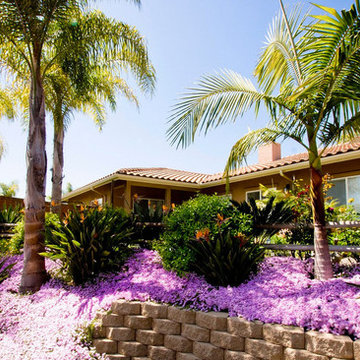Home Exteriors