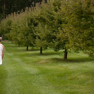 Orchard