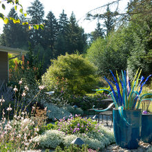 Cottage Gardens