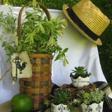 sandi_herron's ideas