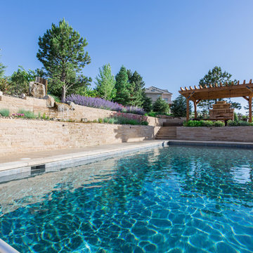 Backyard Escape