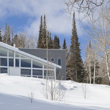 MODERN MOUNTAIN CABIN