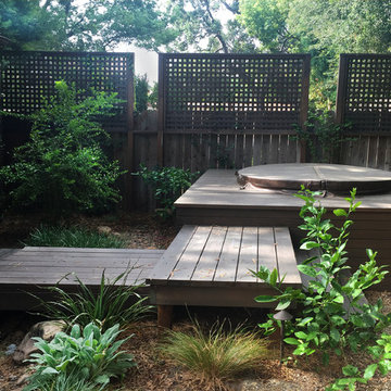 Small Indoor/Outdoor Living Nature Scape