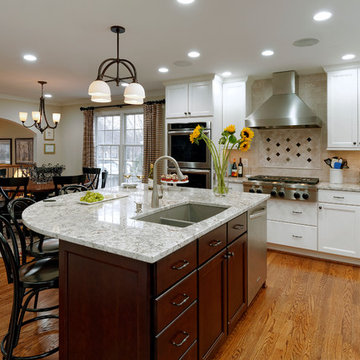 Powell Whole House Renovation