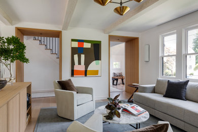 Living room - contemporary living room idea in Boston