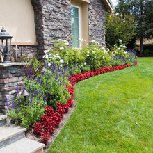 Backyard Landscape