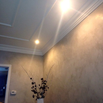 Pittsburgh Remodel Plaster Moulds & Venetian plaster