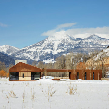 Dogtrot