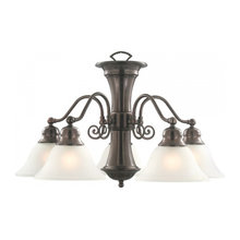 Dining room light fixture