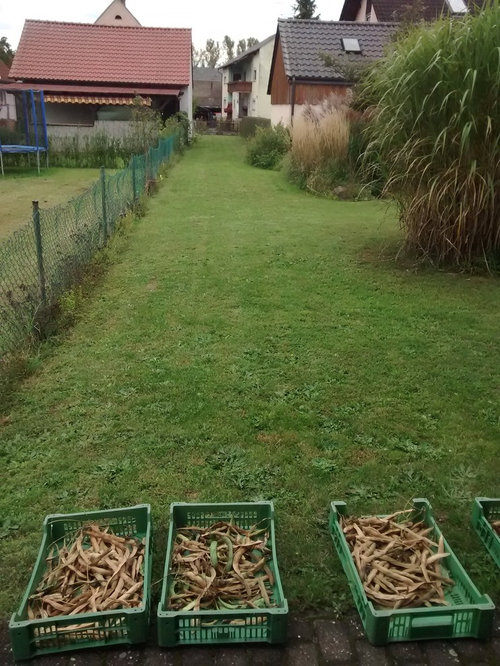 Gestaltung Grundstücksgrenze zum Nachbarn