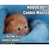 Eileen Young-Foster's photo