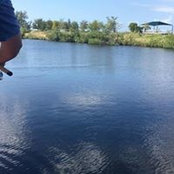 Joe Stevens's photo
