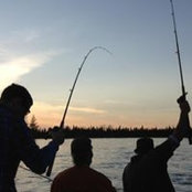 Chance Schweitzer's photo