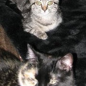 Susan Kluger's photo