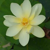 Shelley Young's photo