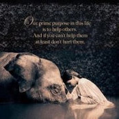 Denise Morris's photo