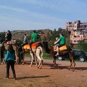 Rachida Richine's photo