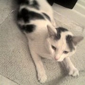 Nancy Johnstone's photo