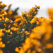 Ruby's photo