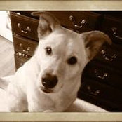 Kathy Burow's photo