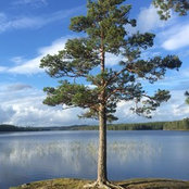 Amana's photo