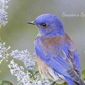 Kathy Watson's photo
