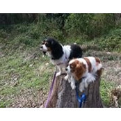 Beth Komolov's photo