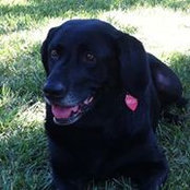 Mary Beth Genovese's photo