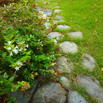 かるい植栽の芝庭