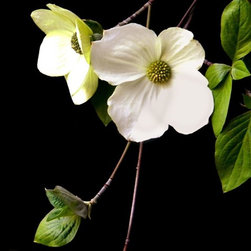 Forest Flower - Fine Art Prints
