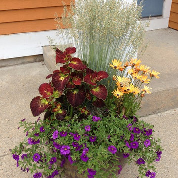 Seasonal Container Plantings & Changeovers