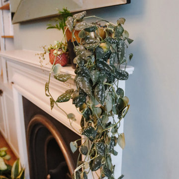 Transforming a Disconnected Space into a Cosy Family Snug