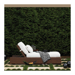 Patio + Outdoor - Outdoor Chaise Lounges