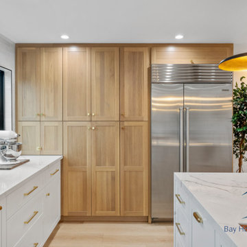 Full House Remodel (Richmond)